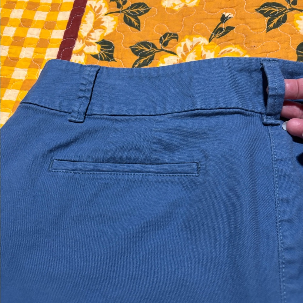 LOFT Julie Blue Shorts - Picture 11 of 14